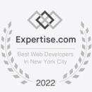 Best Web Developers in New York City 2022 – light