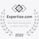 Best Web Developers in New York City 2022 – light