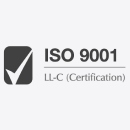 ISO 9001 – light