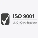 ISO 9001 – light