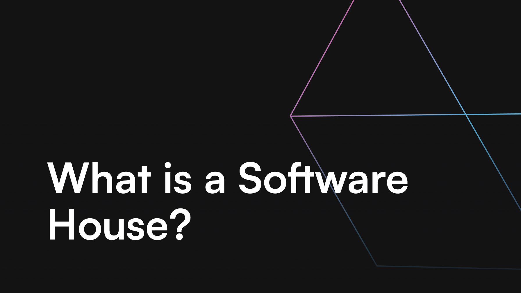 What is a Software House?